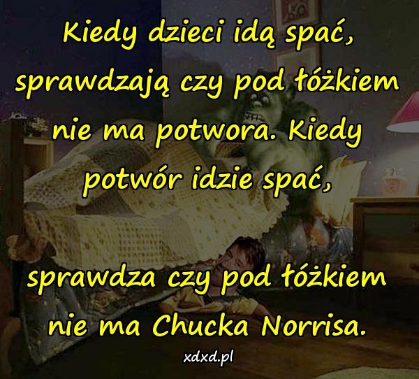 Kiedy dzieci idą spać, sprawdzają czy pod łóżkiem nie ma potwora. Kiedy potwór idzie spać, sprawdza czy pod łóżkiem nie ma Chucka Norrisa.