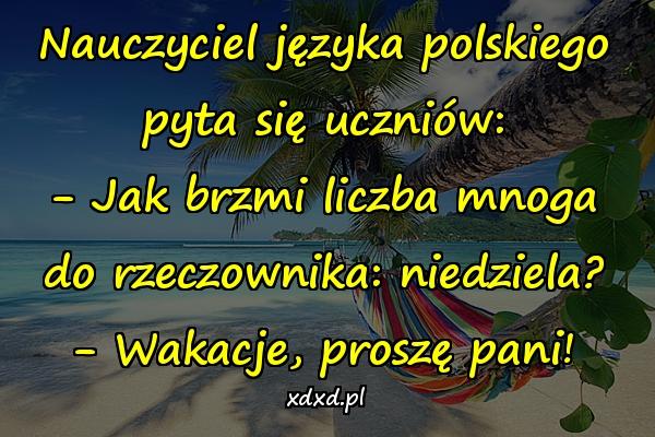 Nauczyciel języka polskiego pyta się uczniów: - Jak brzmi liczba mnoga do rzeczownika: niedziela? - Wakacje, proszę pani!