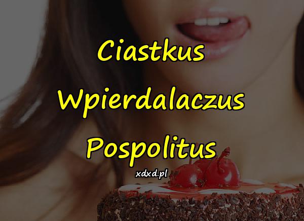 Ciastkus Wpierdalaczus Pospolitus