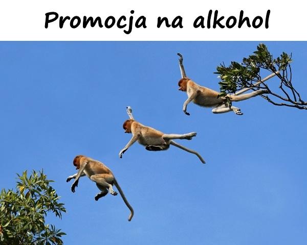 Promocja na alkohol