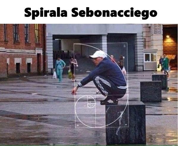 Spirala Sebonacciego