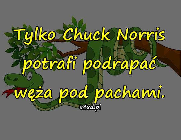 Tylko Chuck Norris potrafi podrapać węża pod pachami.